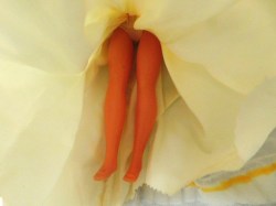 blonde hk bride legs